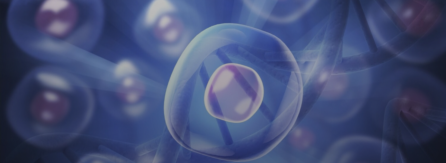 Stemcell Therapy Banner